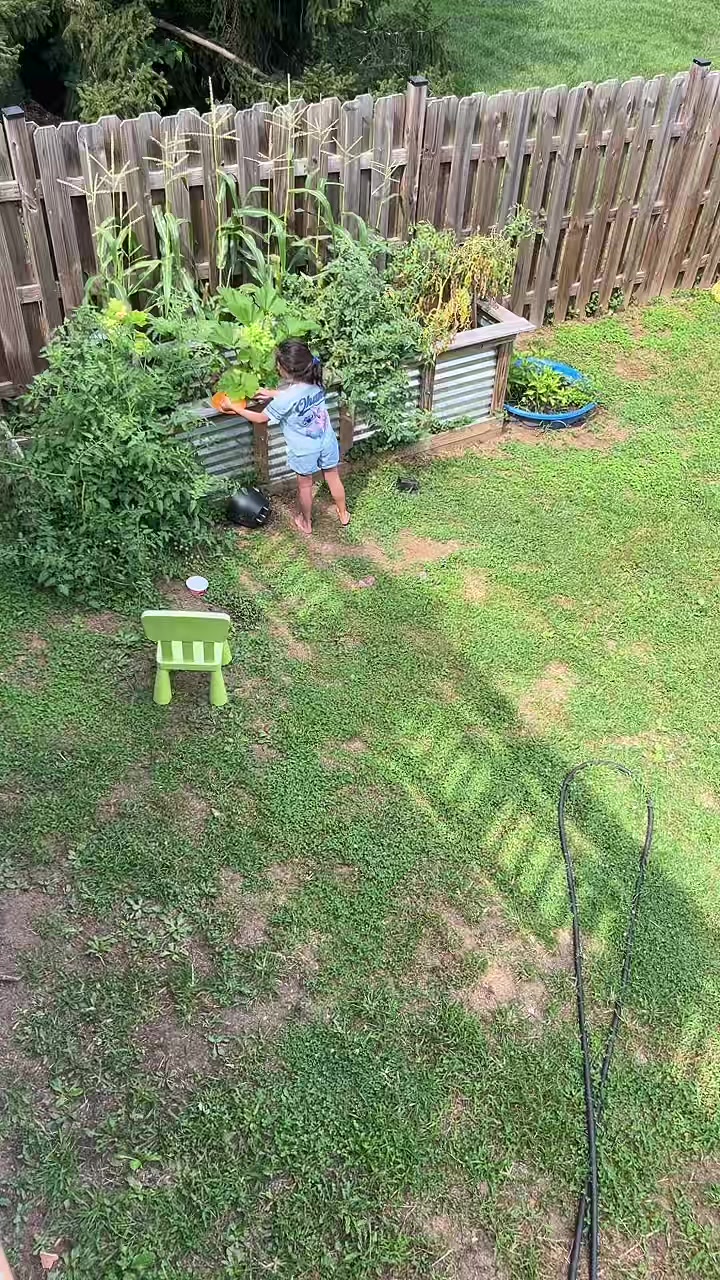 @🍹🌴