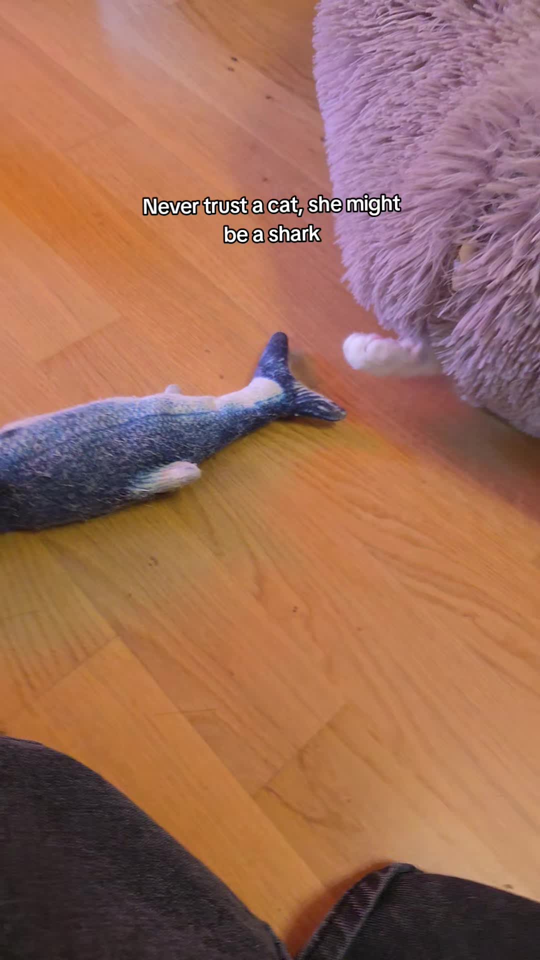 @ikyklk