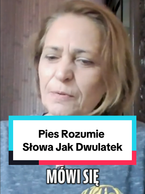 @PPTV