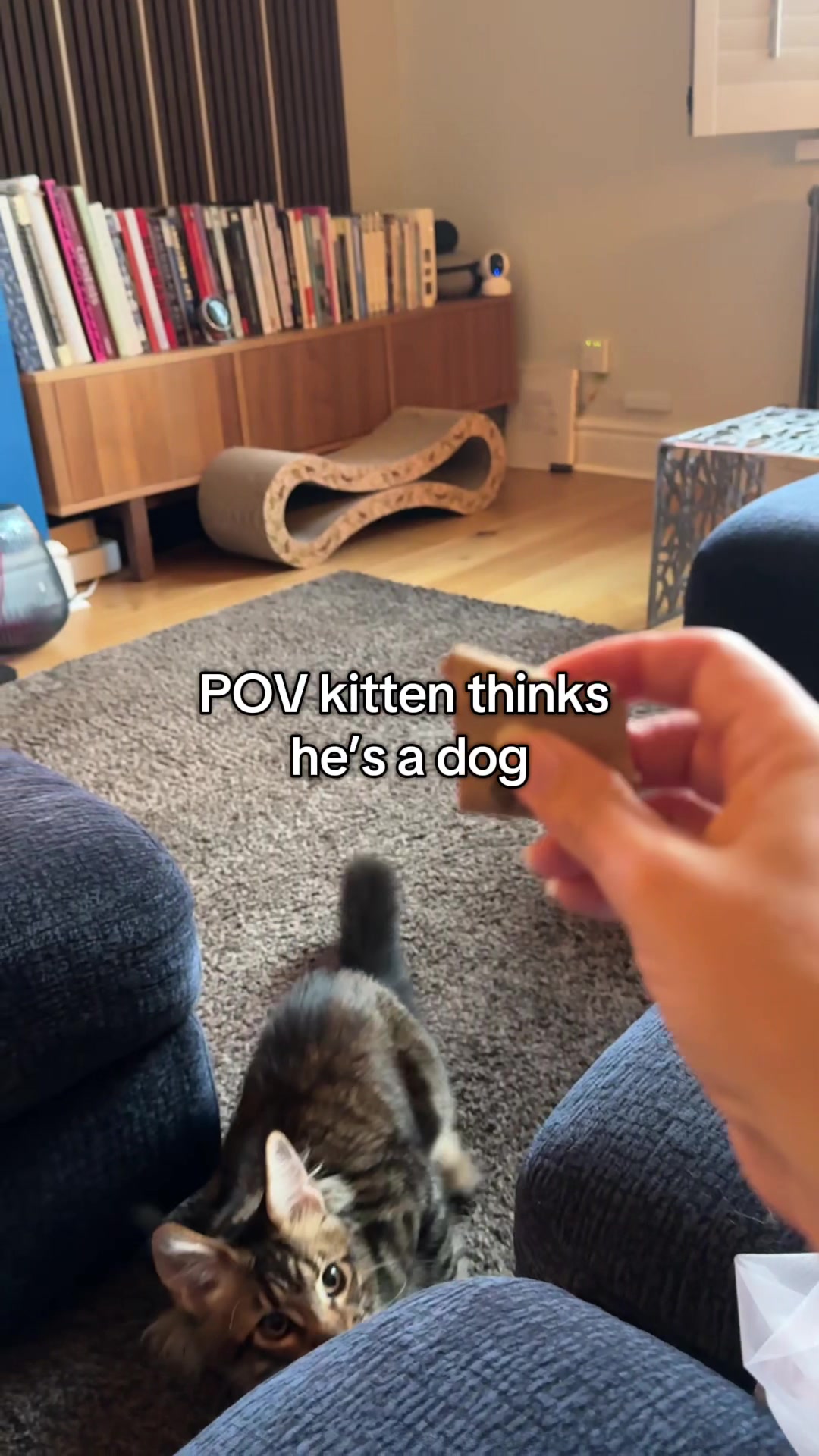 @Louise | BTS & Knitting Chaos