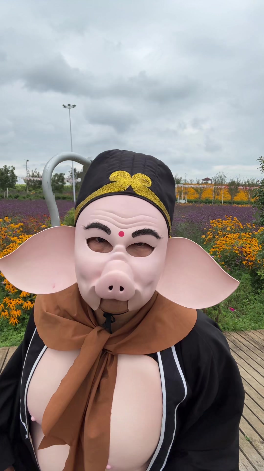 @Journey to the West Pigsy