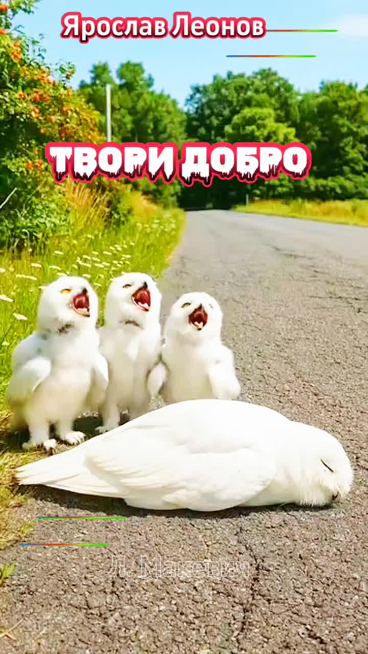 @Людмила Макевич