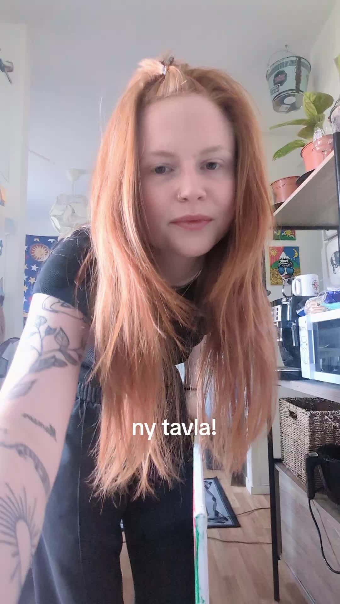 @Stridsvagnes