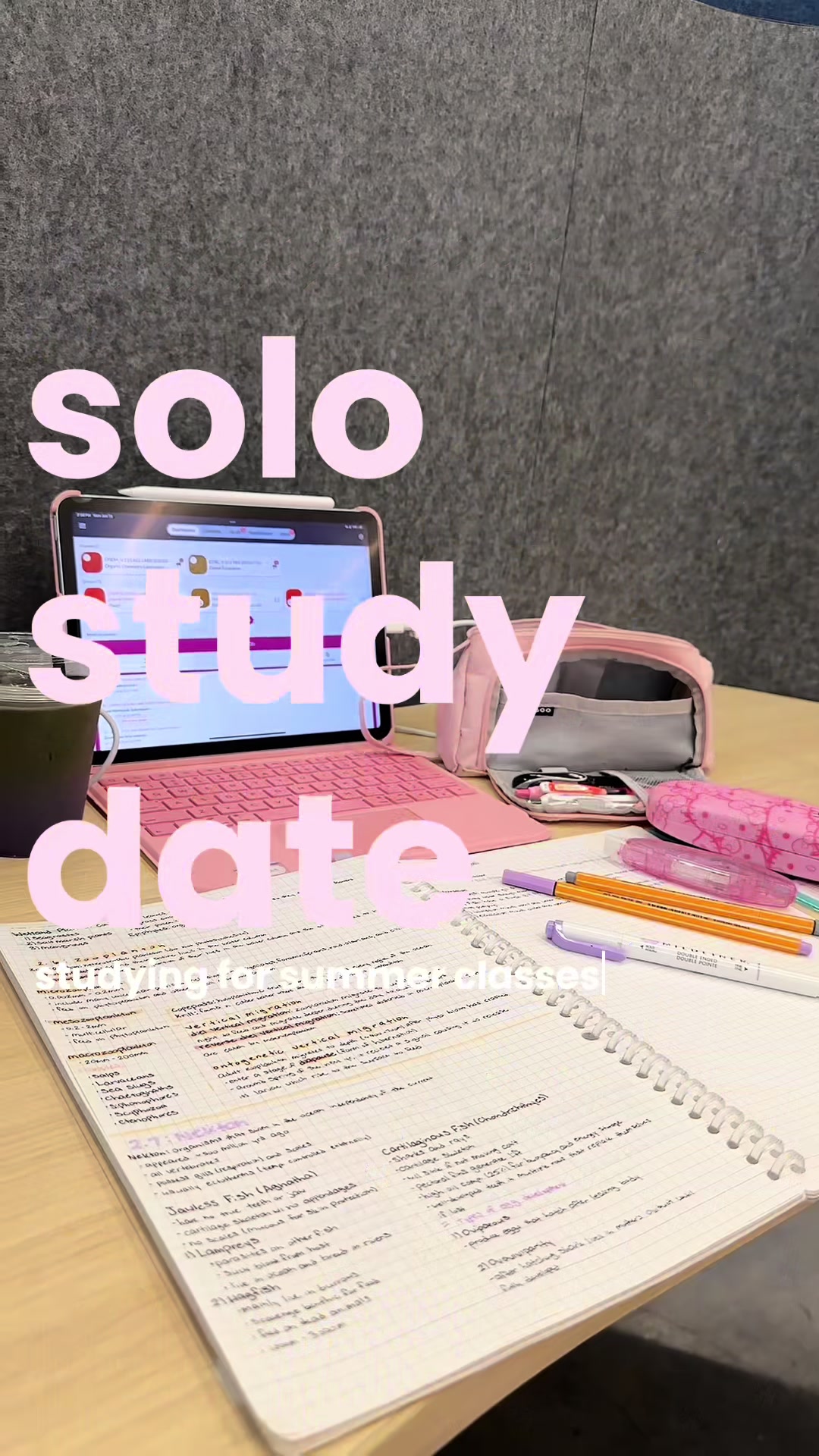 @ayana studies(^з^)-☆