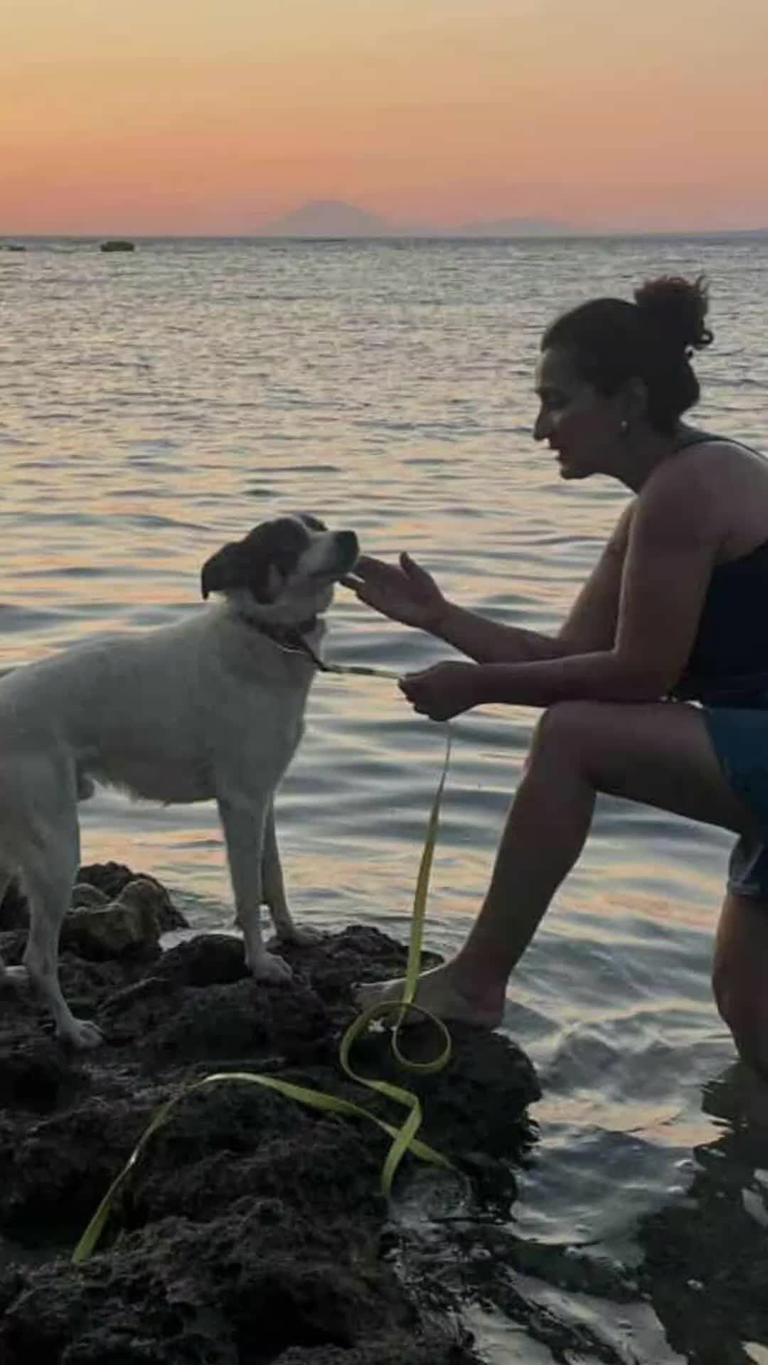 @Greek Animal Rescue