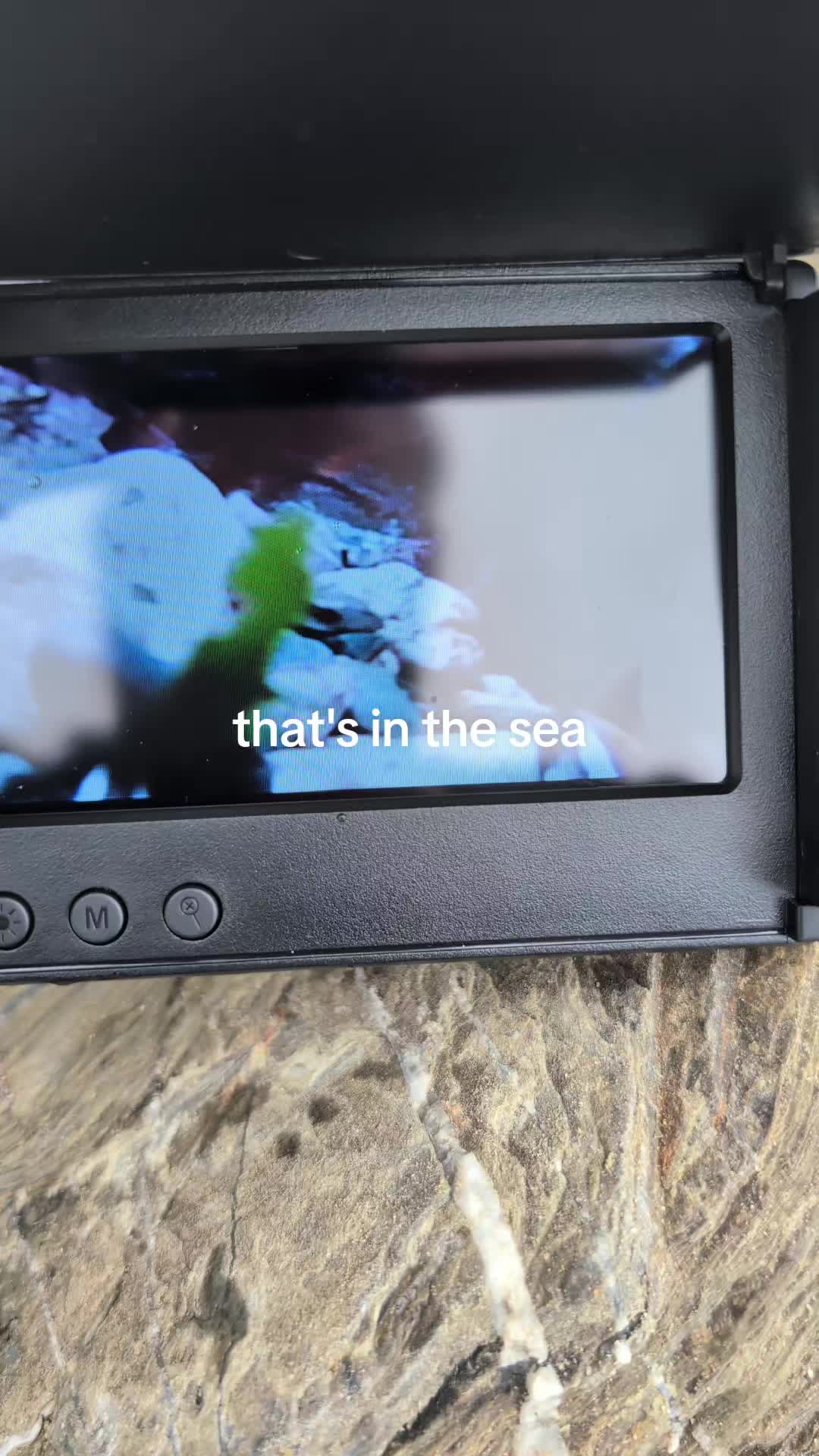 @vanlife