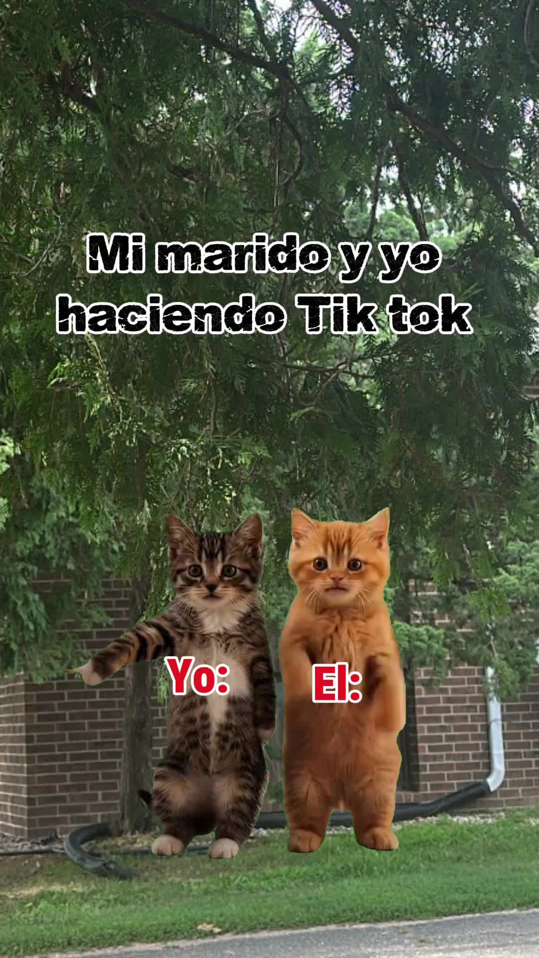 @🧃🍀🫀💋🦅LaTerrible69🌶️🇻🇪