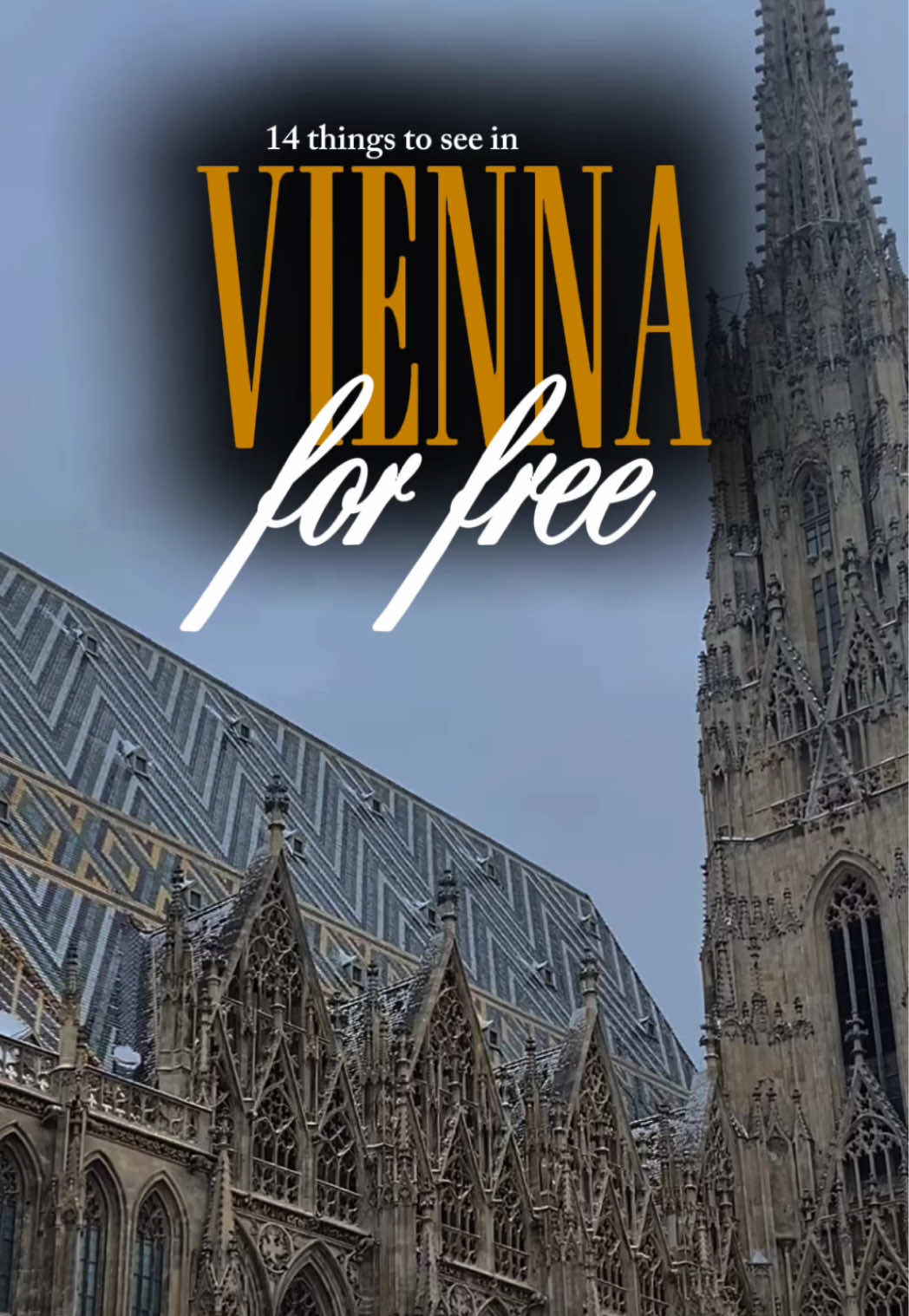 @Laura Cīrule 🎞️