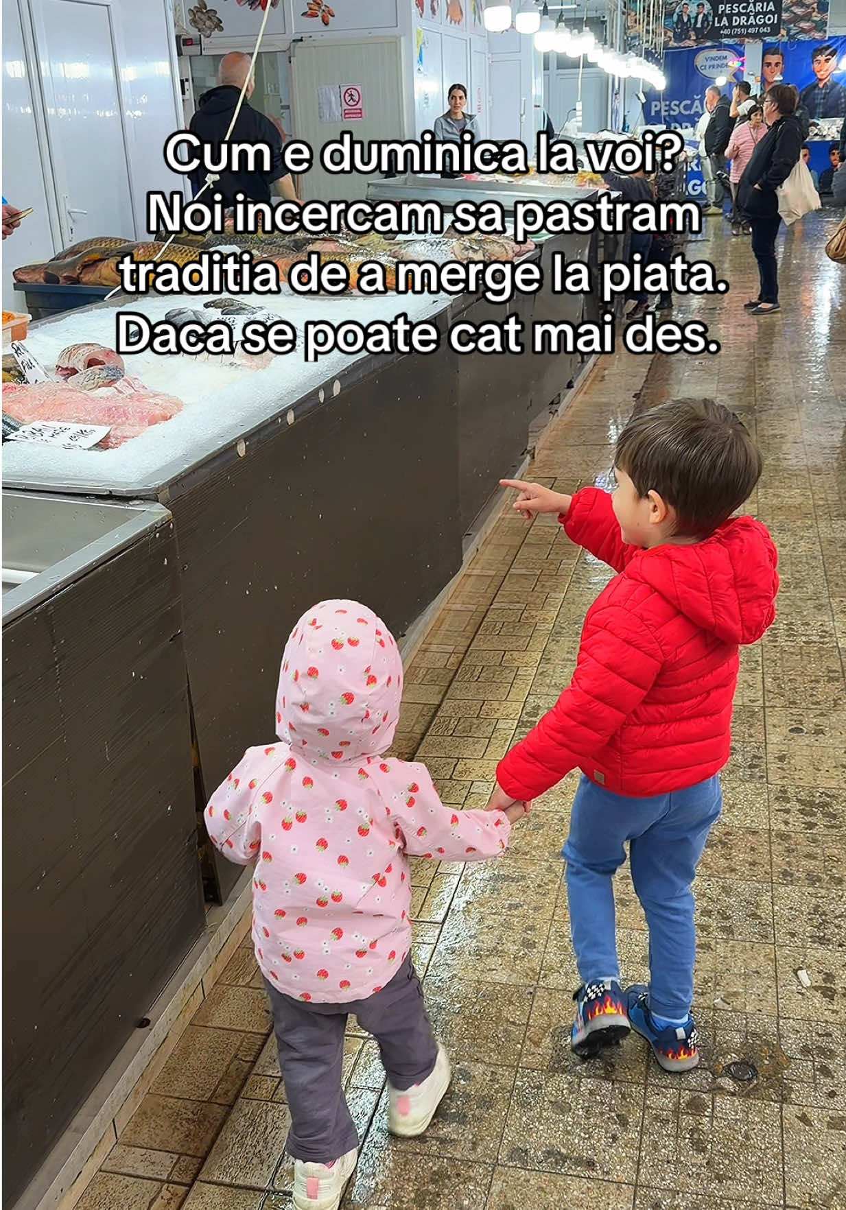 @Florin Savuroso