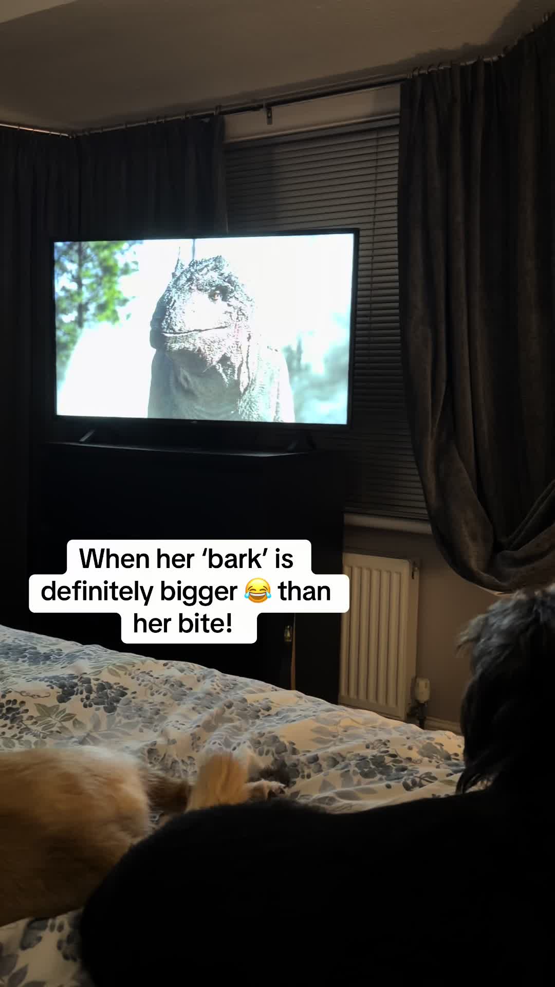 @debbiecroww