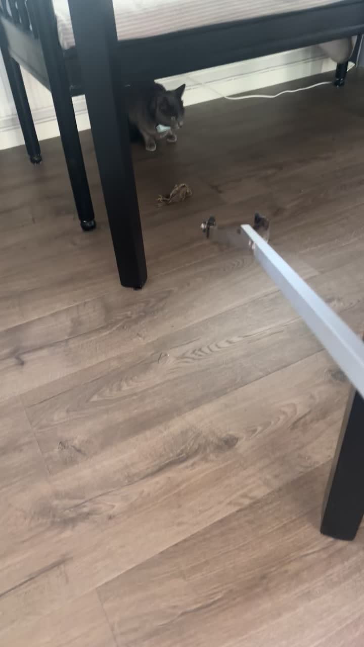 @ronnyolga