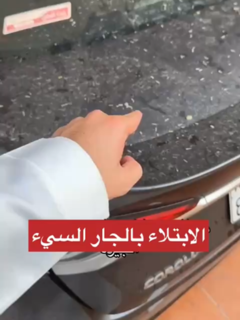 @بلادنا على وين