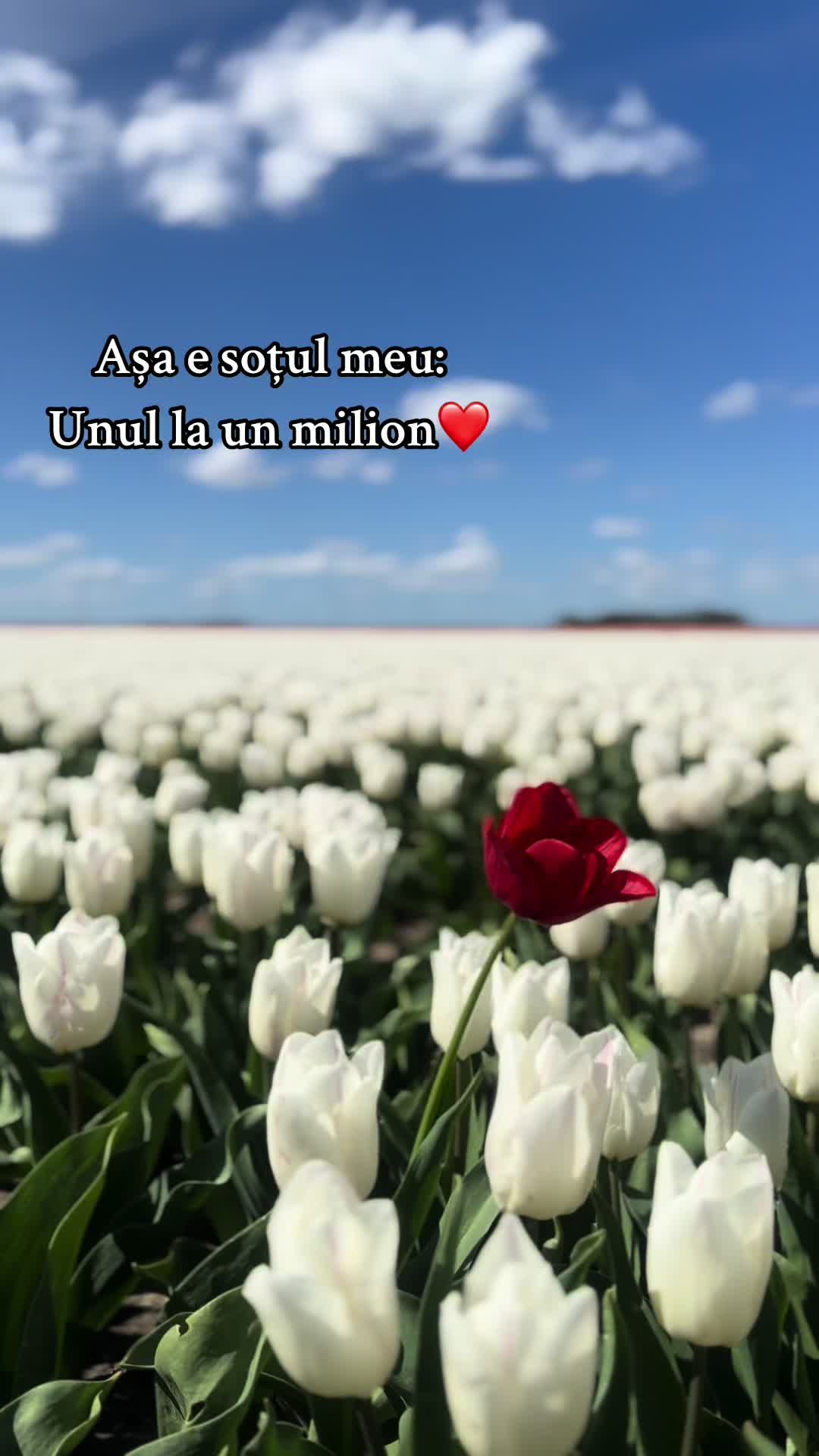 @Citate.Pentru.Suflet