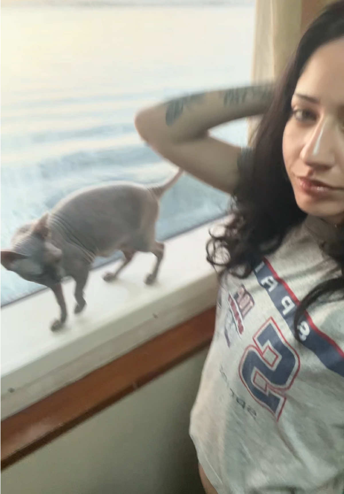 @Fisalida