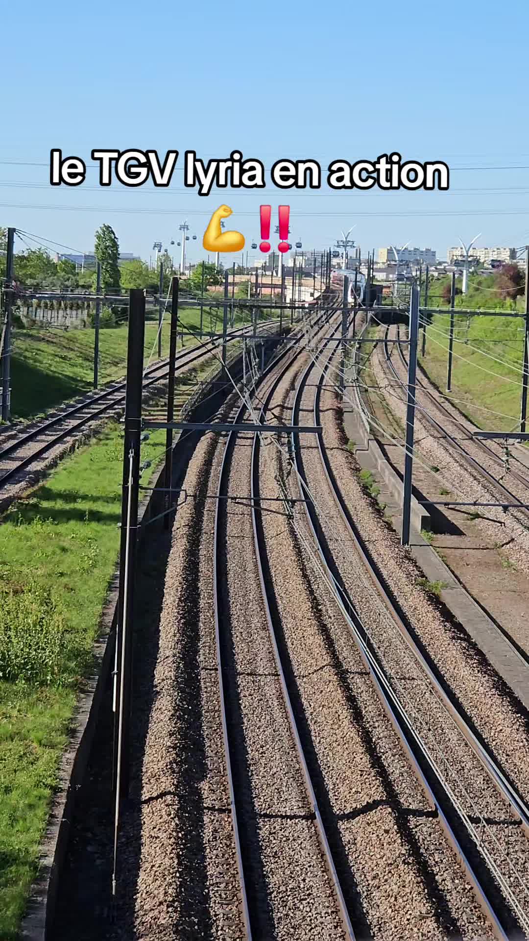 @SPT_HDF_IDF🔥‼️