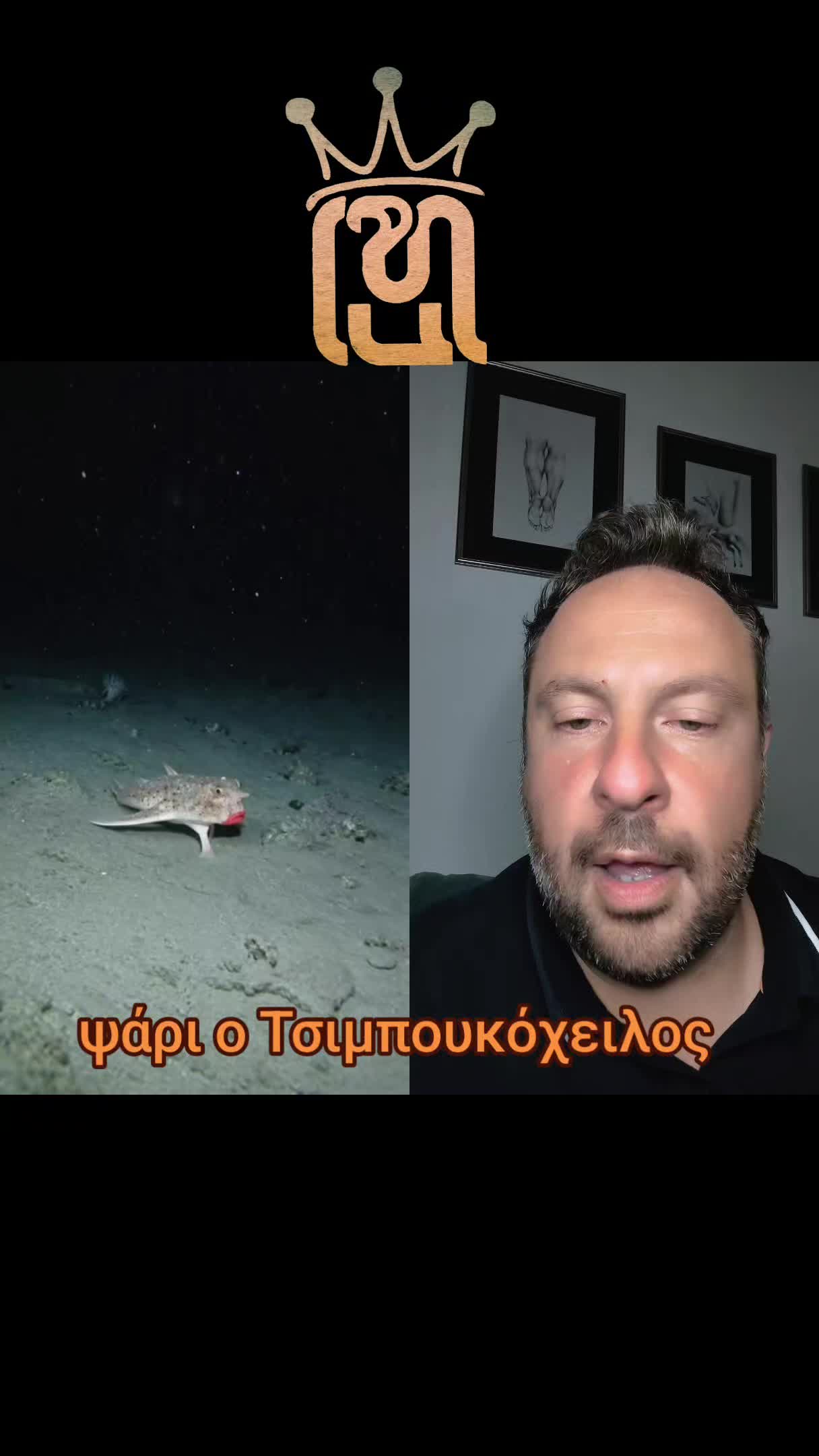 @hadjieleftheriadis