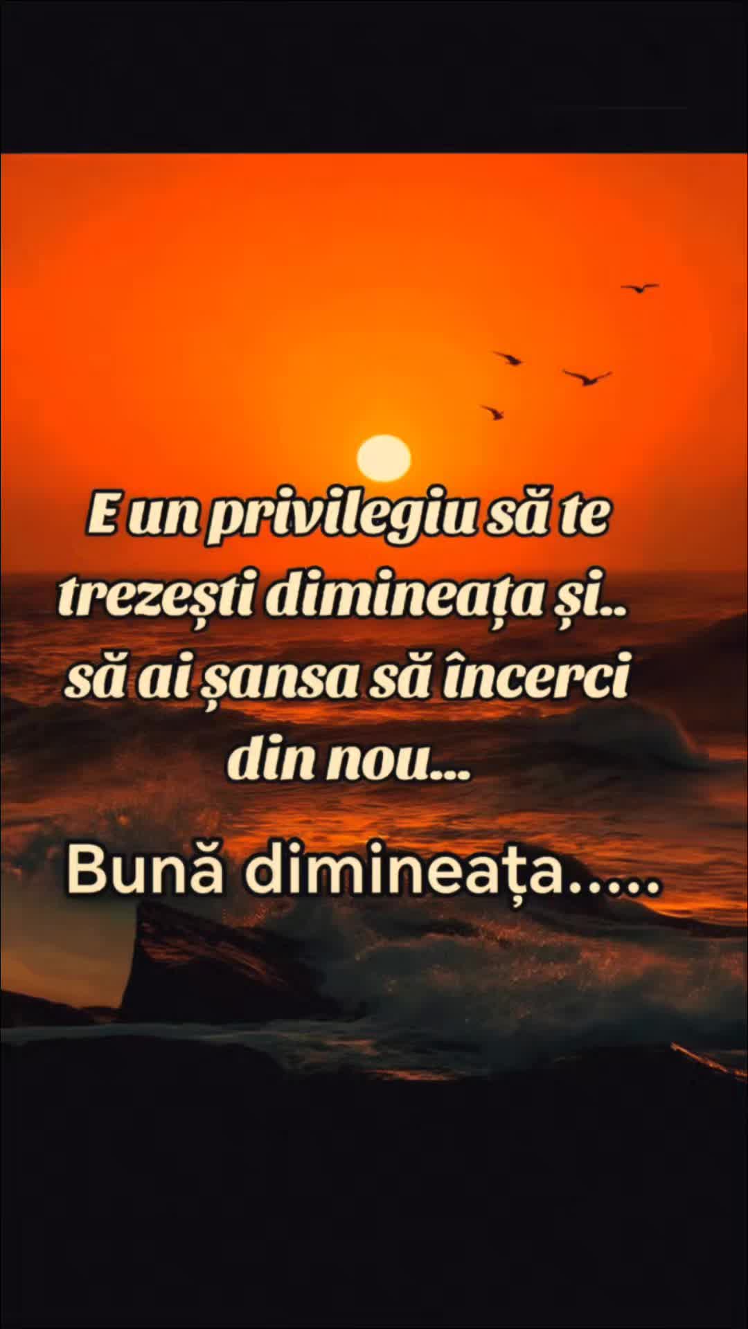 @Costel