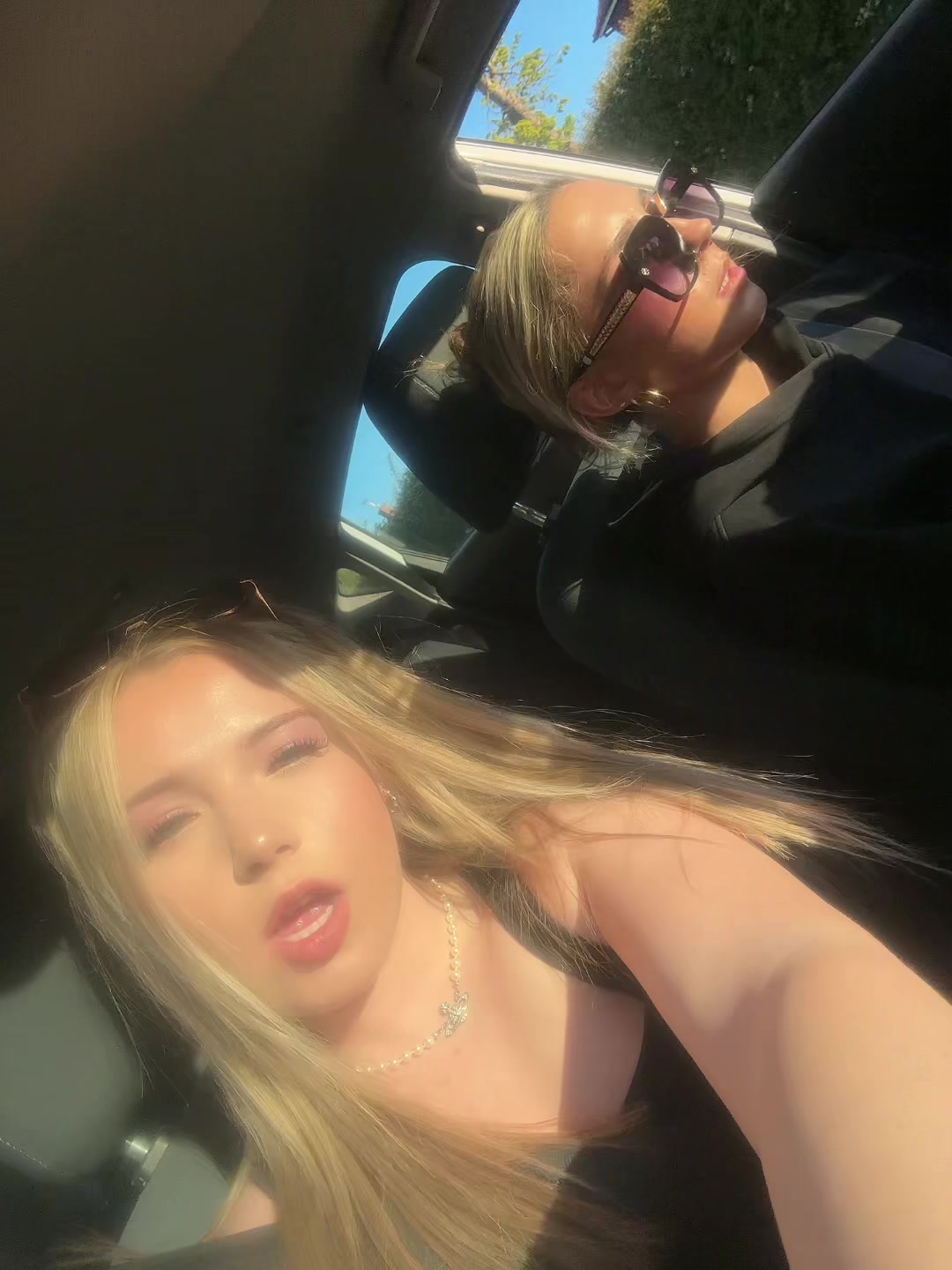 @🐅