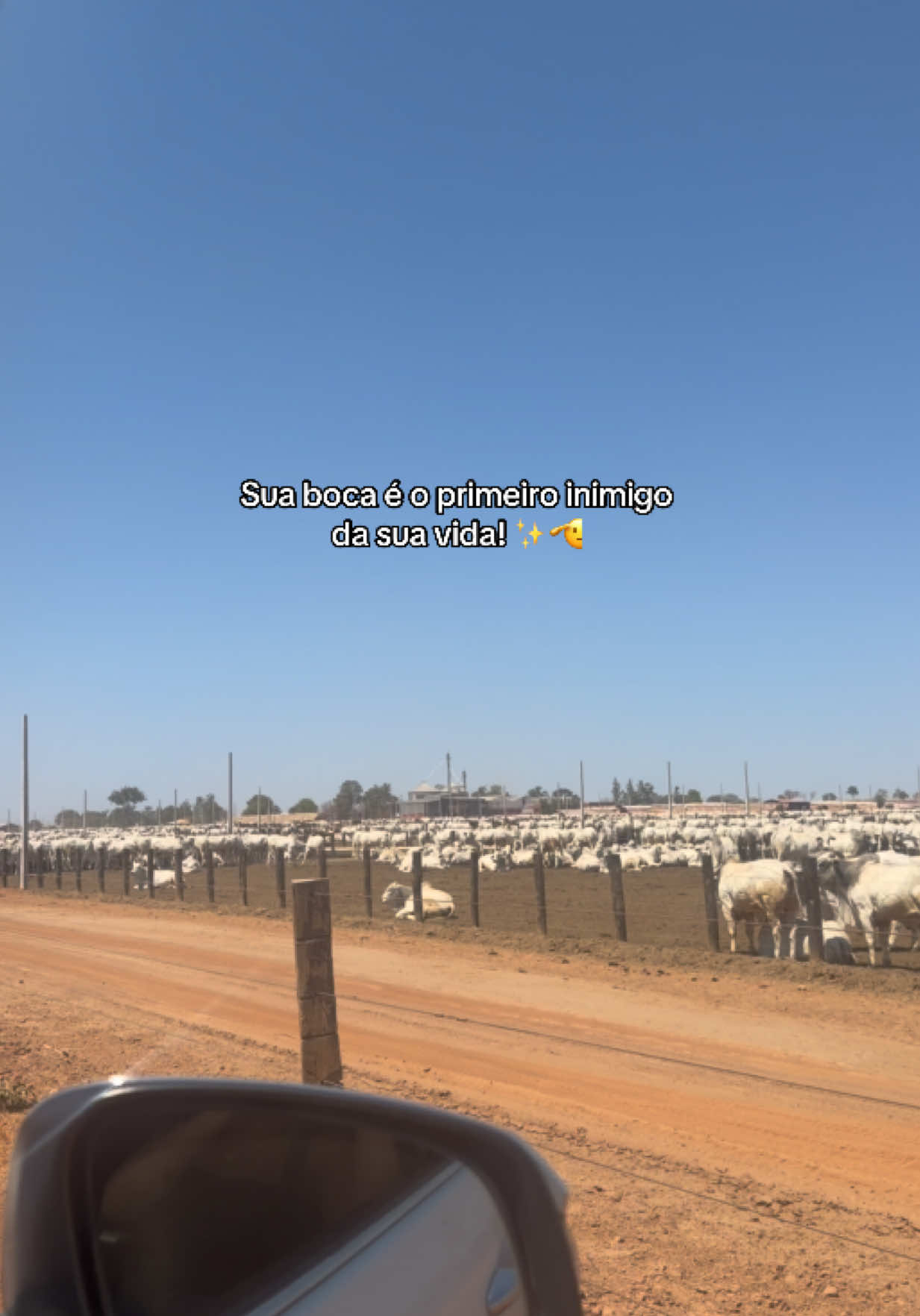 @Bia Rodrigues