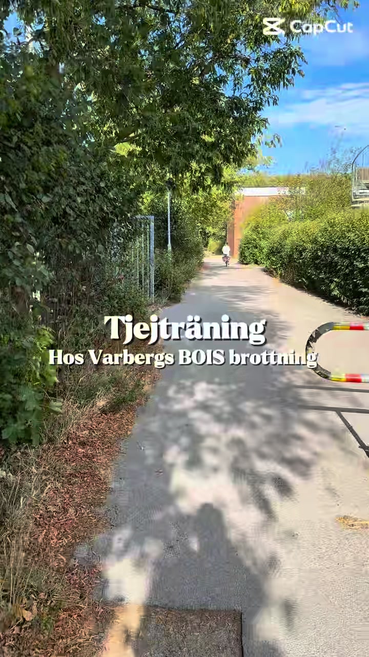 @Varbergs BoIS Brottning