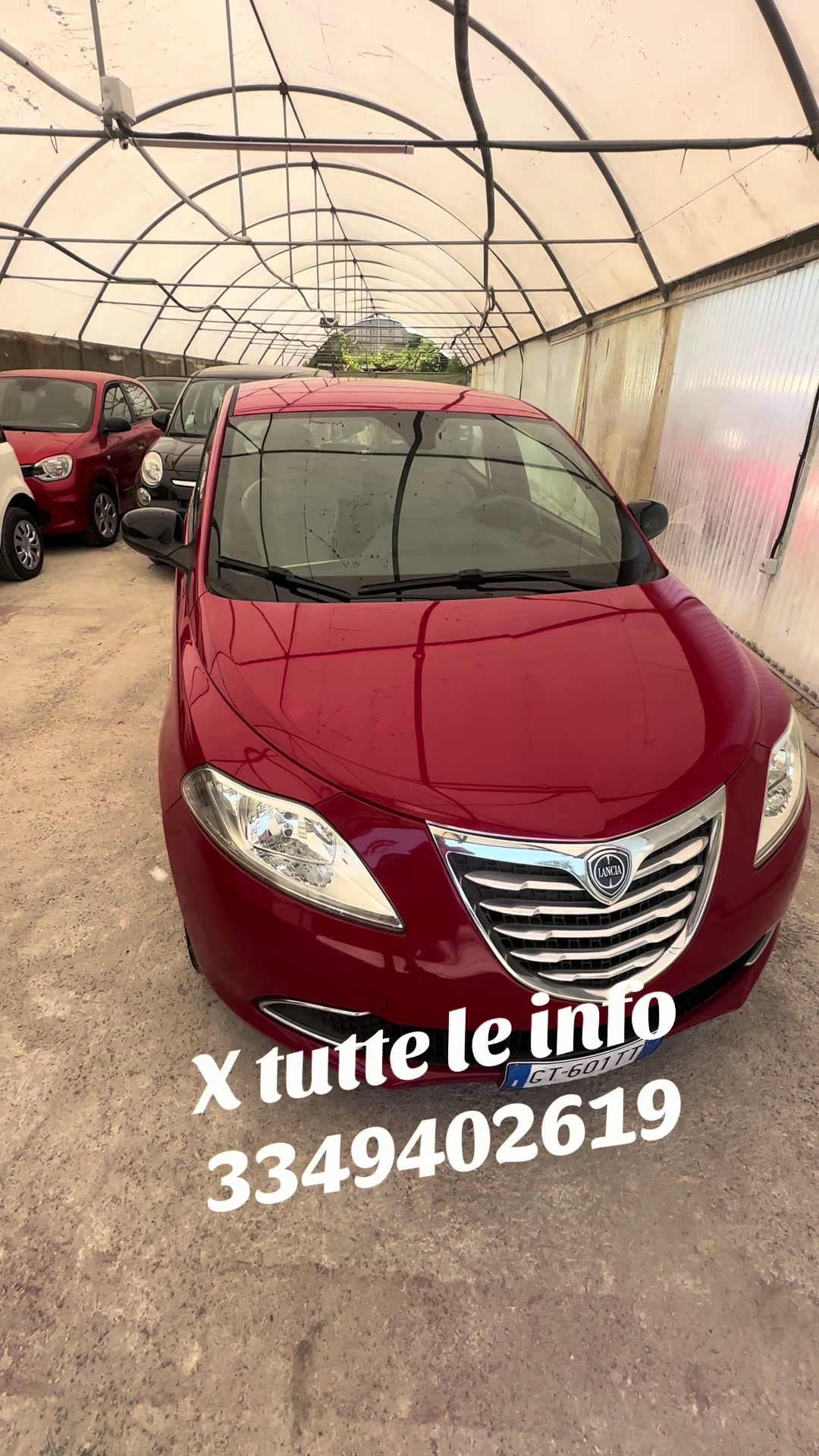 @Maurizio mgr cars