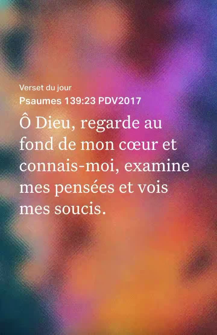 @la vie est belle