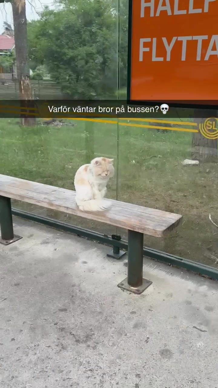 @Skämt Och Sidor