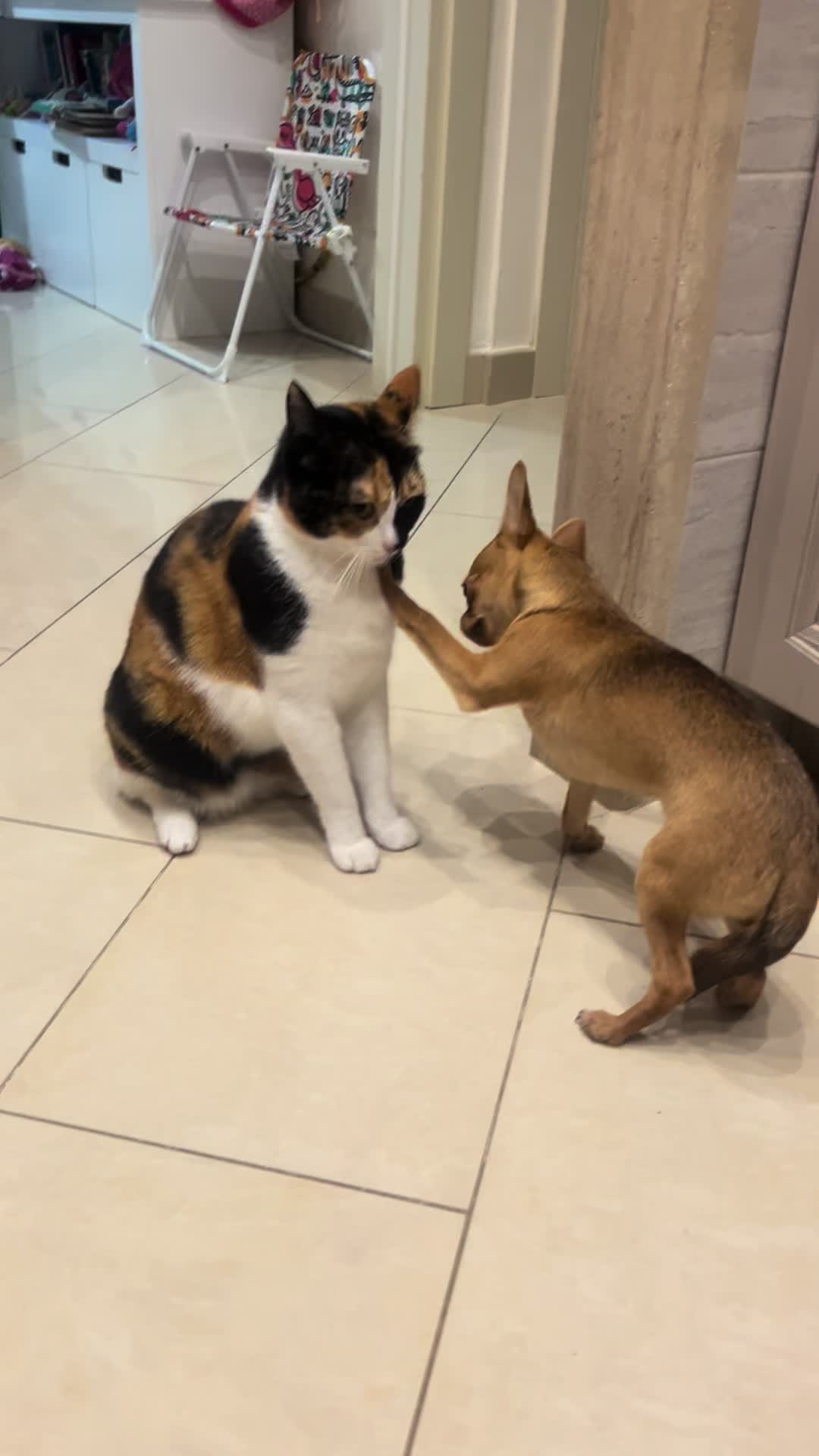 @LaBrilly