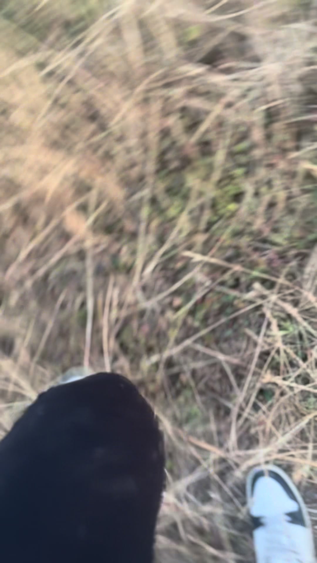 @Mk6_SK08