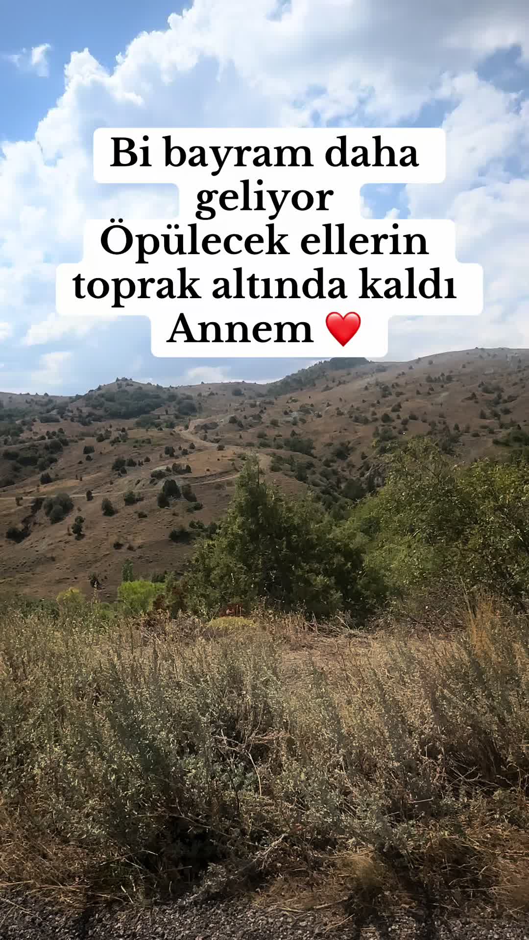 @58Tülay34