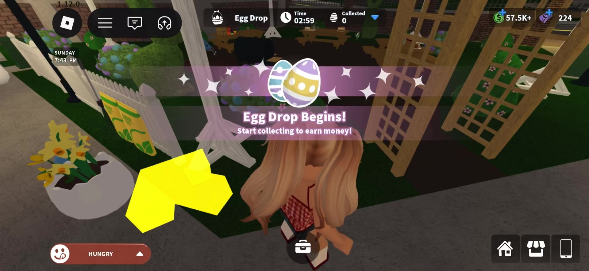 @Bloxburbian Girl