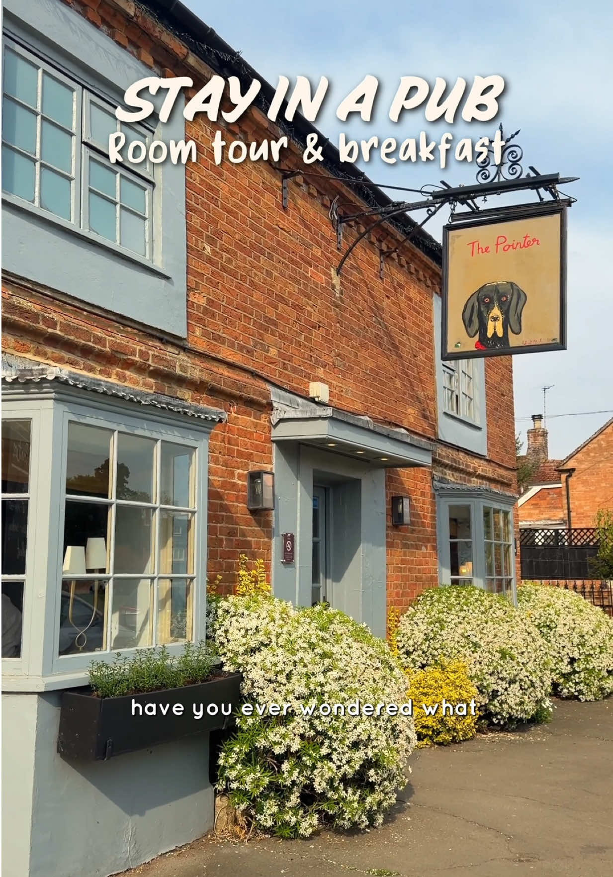 @Rebecca Casserly travel & food