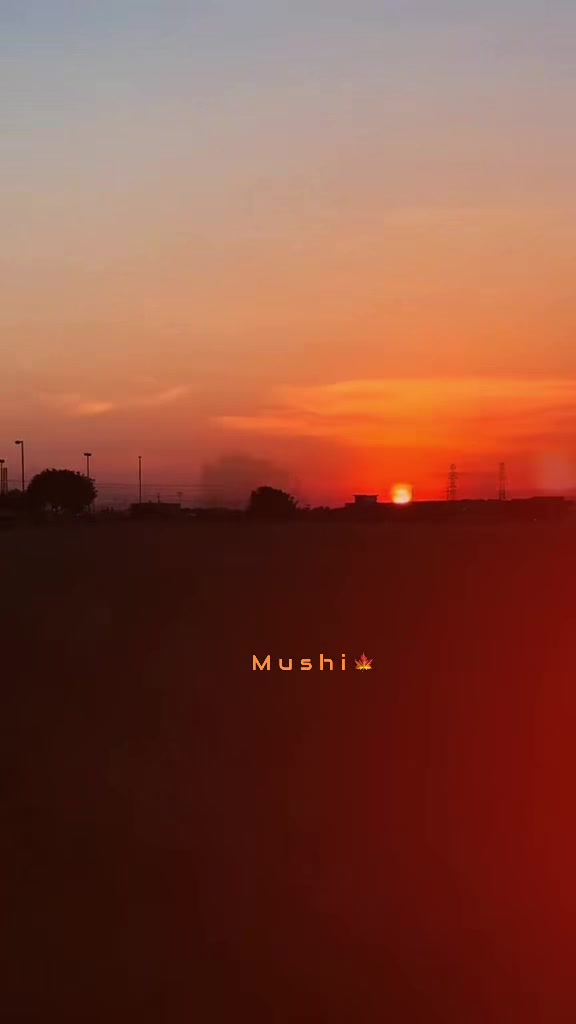 @Ayzal🍁Mushi