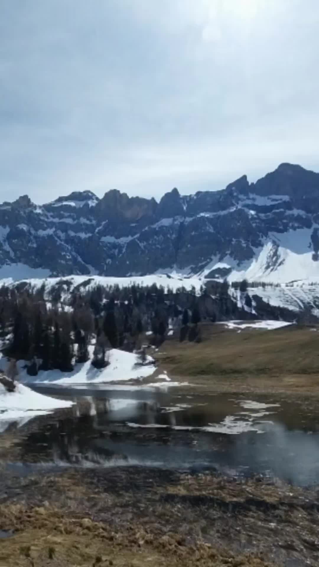 @wolfthebest