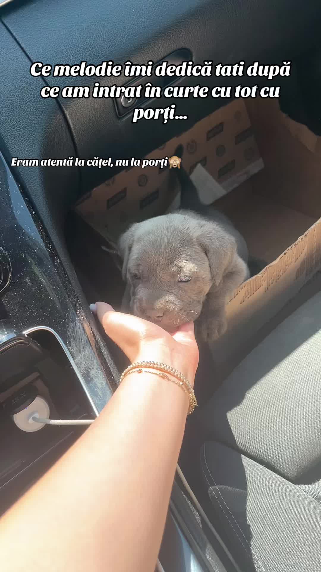 @🖤Roxana🖤