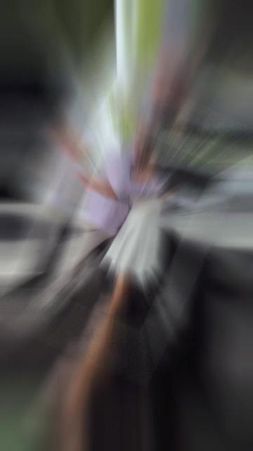 @Renyblue