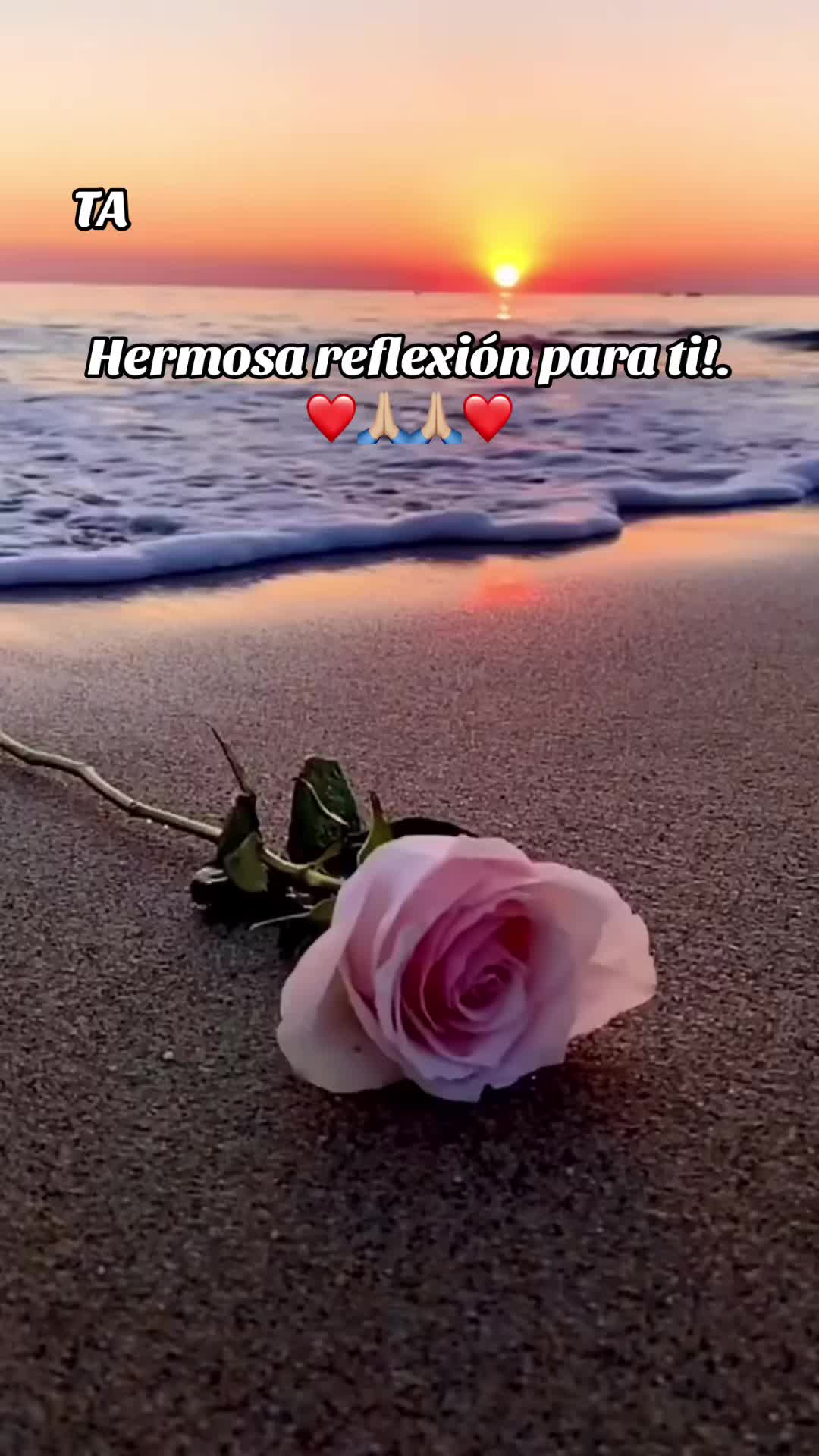 @Taimy