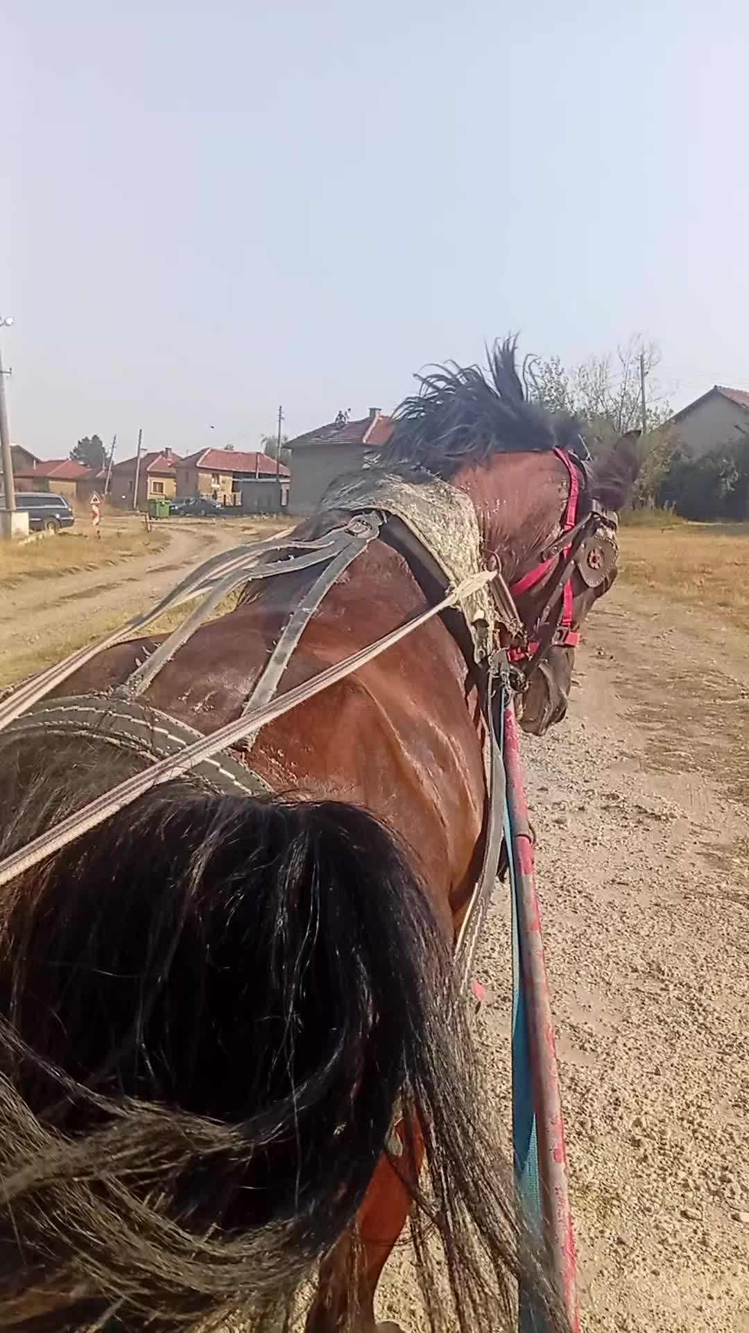 @Mimeto Ivanov