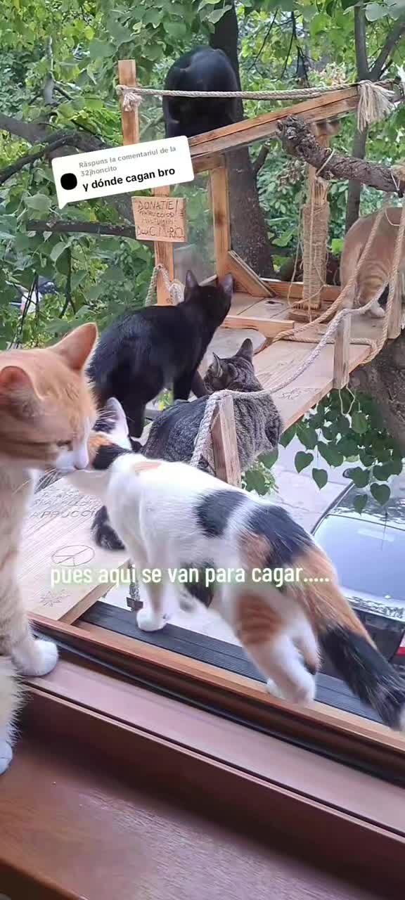 @Coiosu'&Co.
