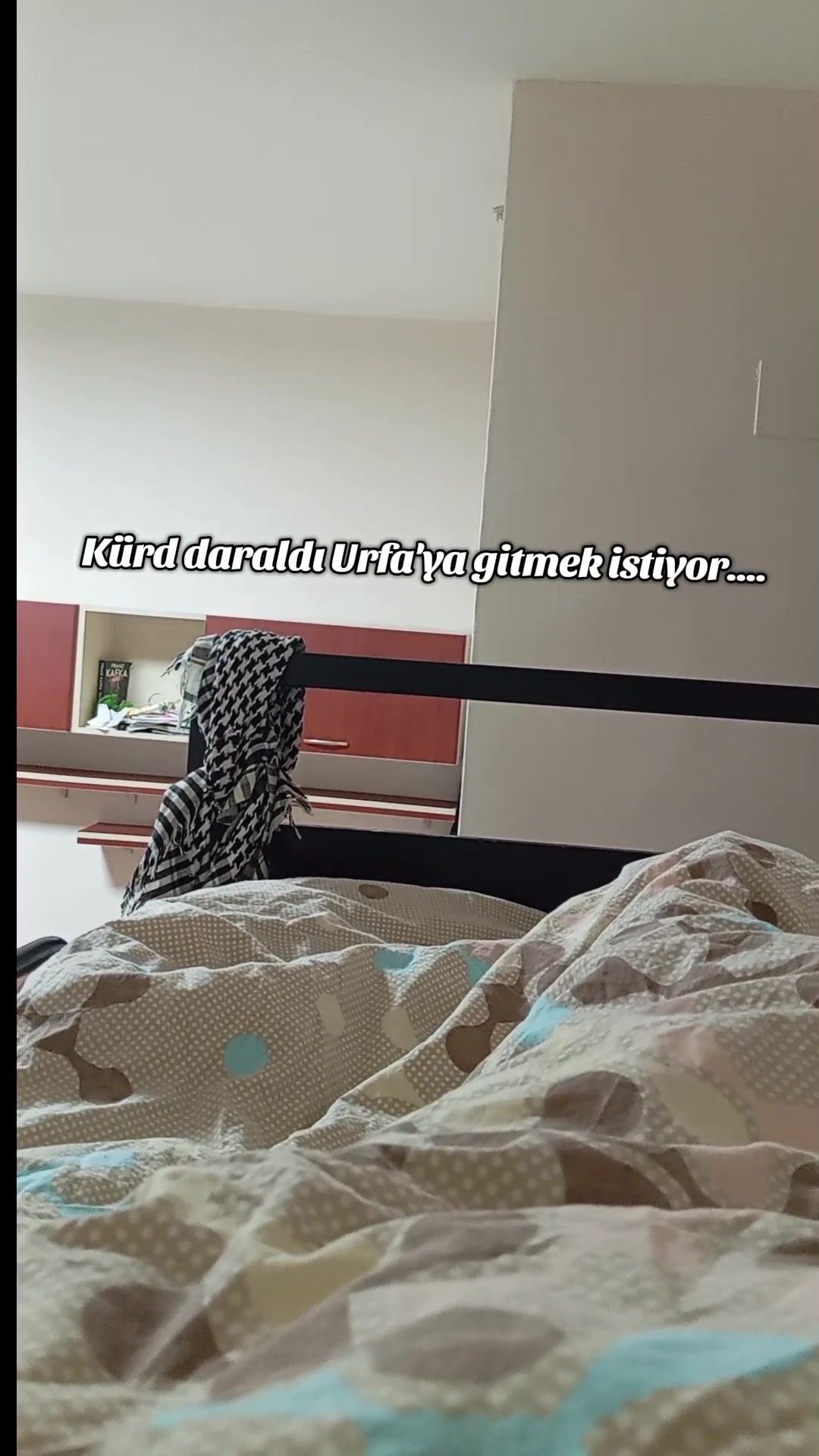 @Emine 3lühan