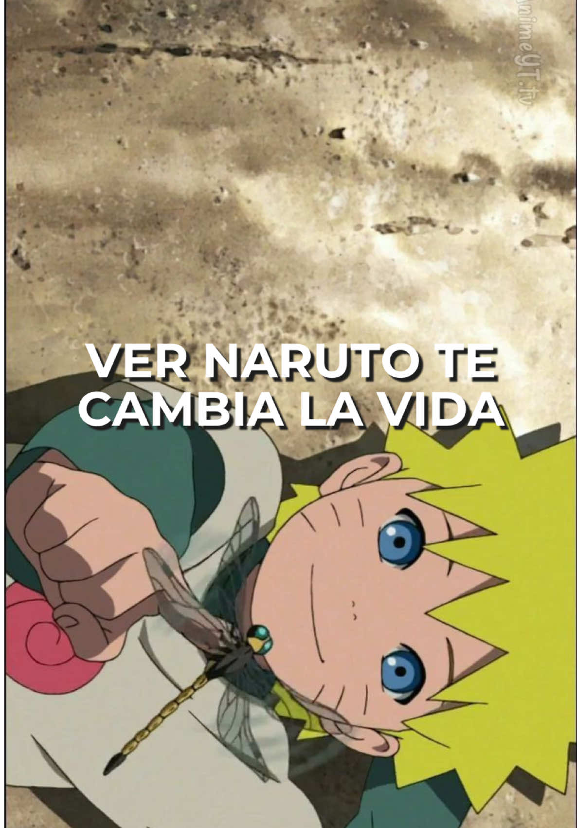 @tuotako