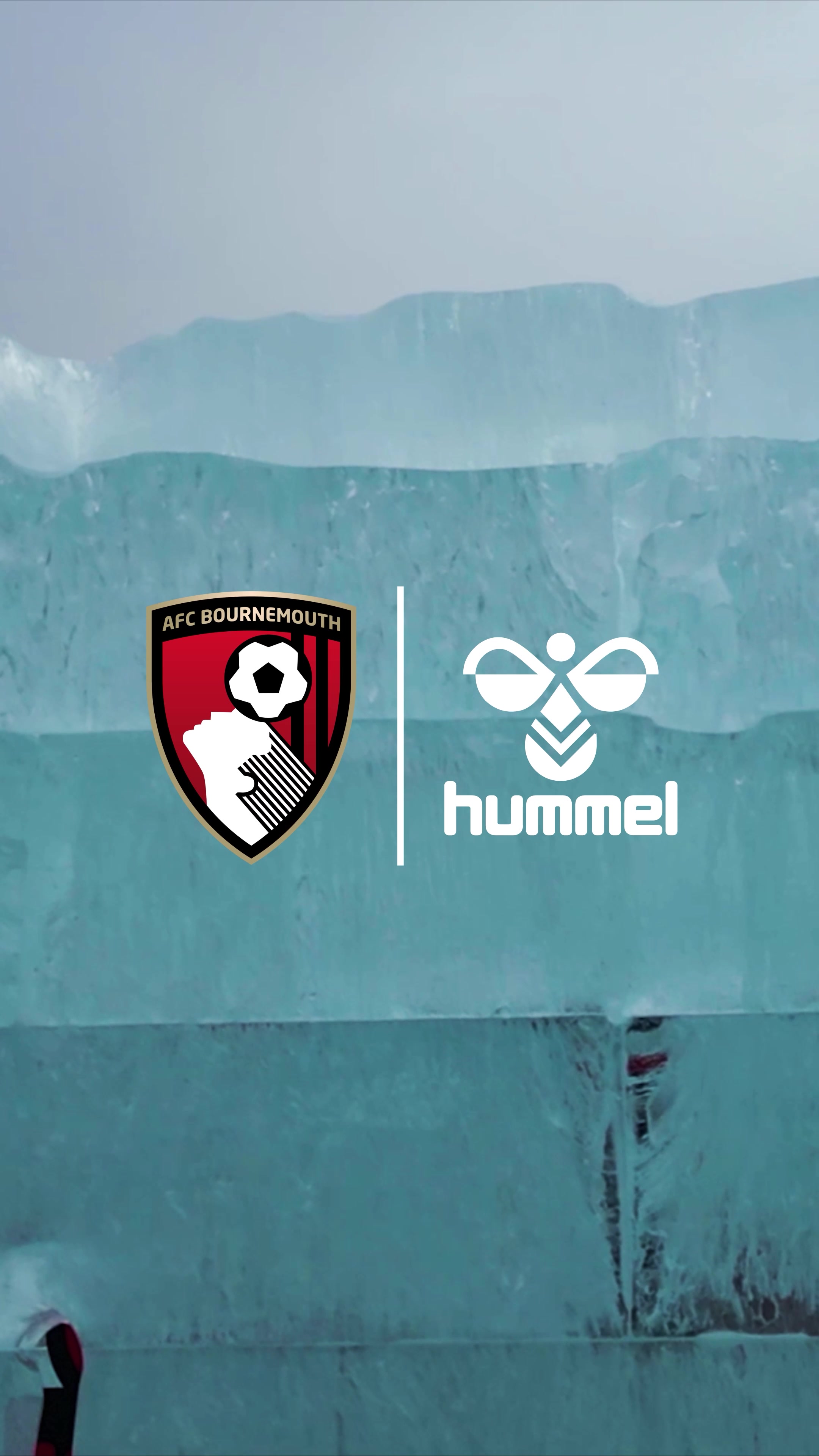 @AFC Bournemouth