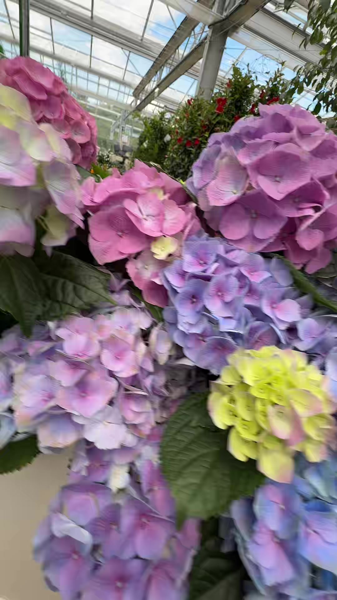 @Blumen B&B