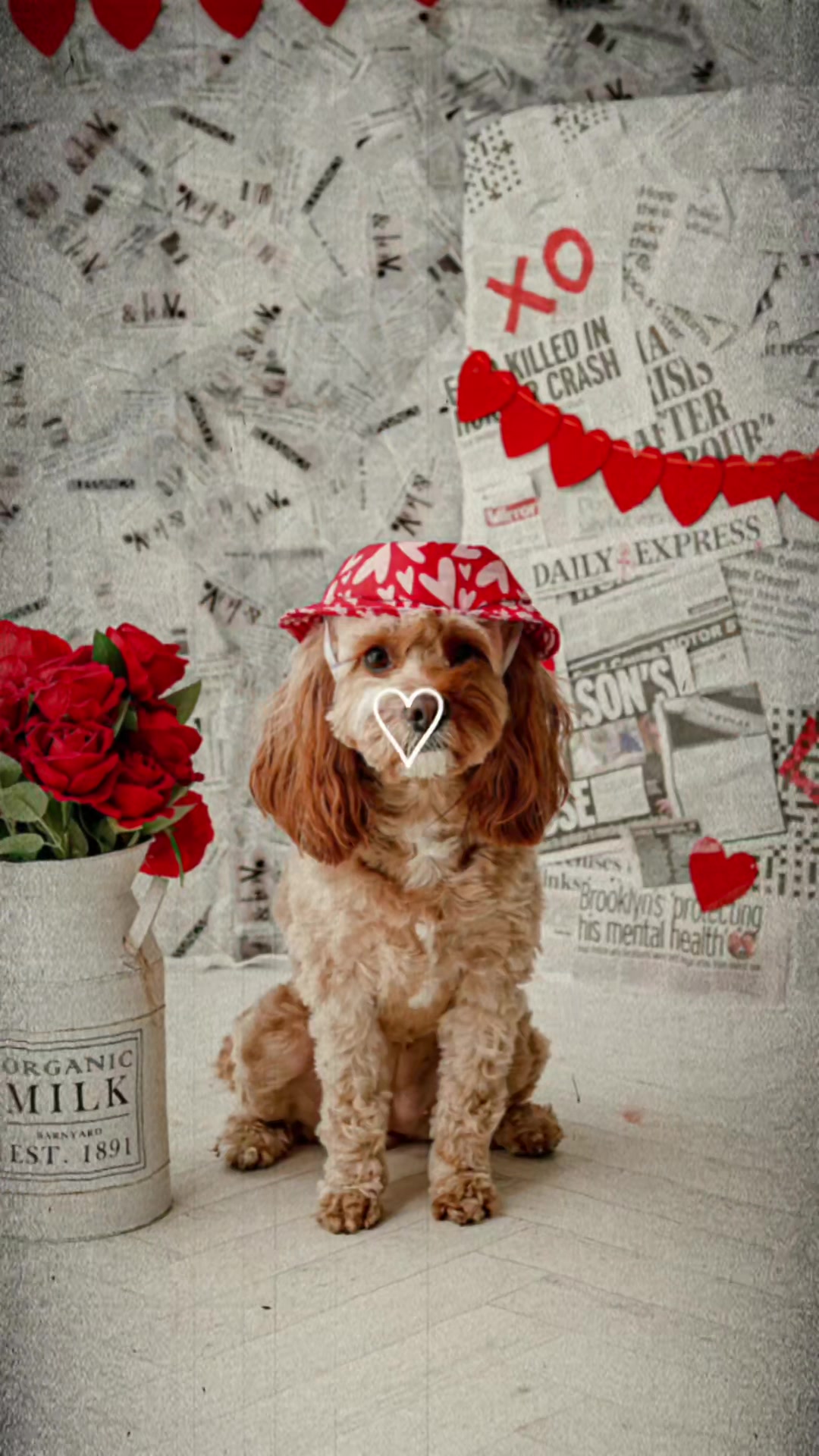 @Milly & Bloom Photography