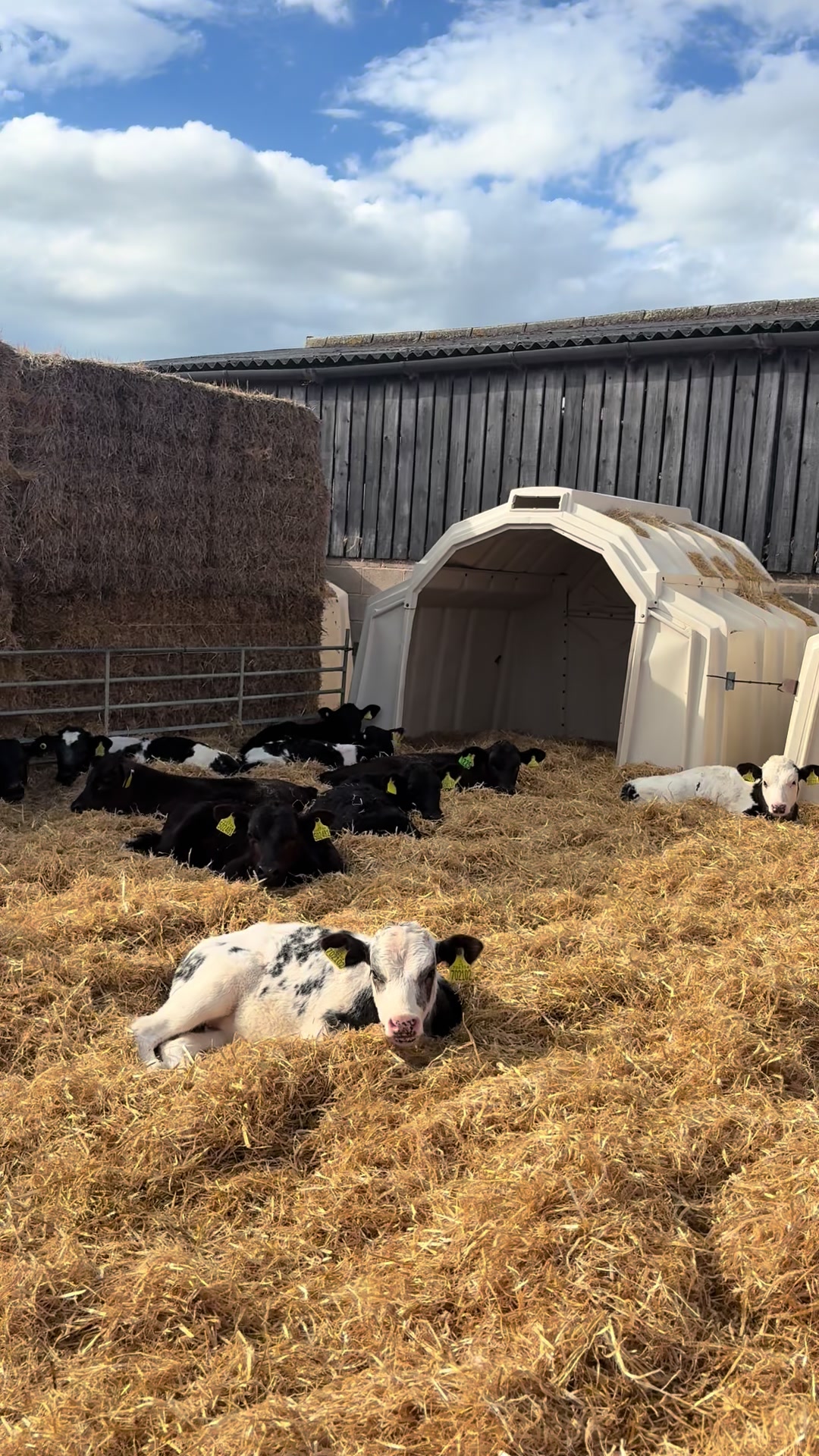@Life On The Farm - Cheshire