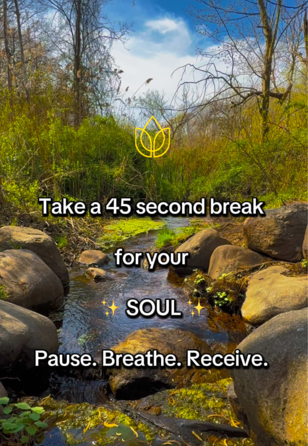 @Denise Dawson Lucid Soul Vibes