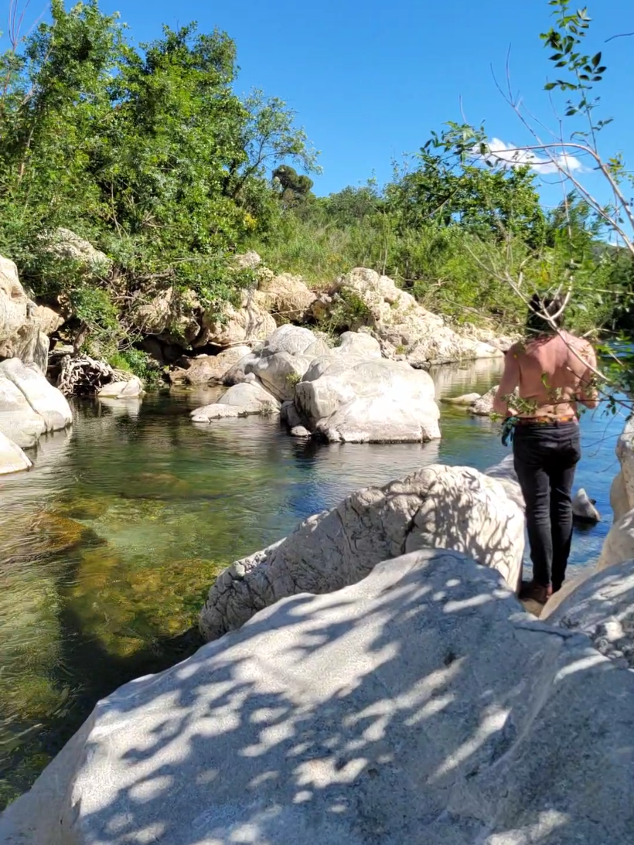 @Kader Folles - Foraging Nomad