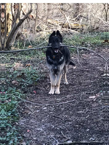 @MERCURY_GSD_24_7