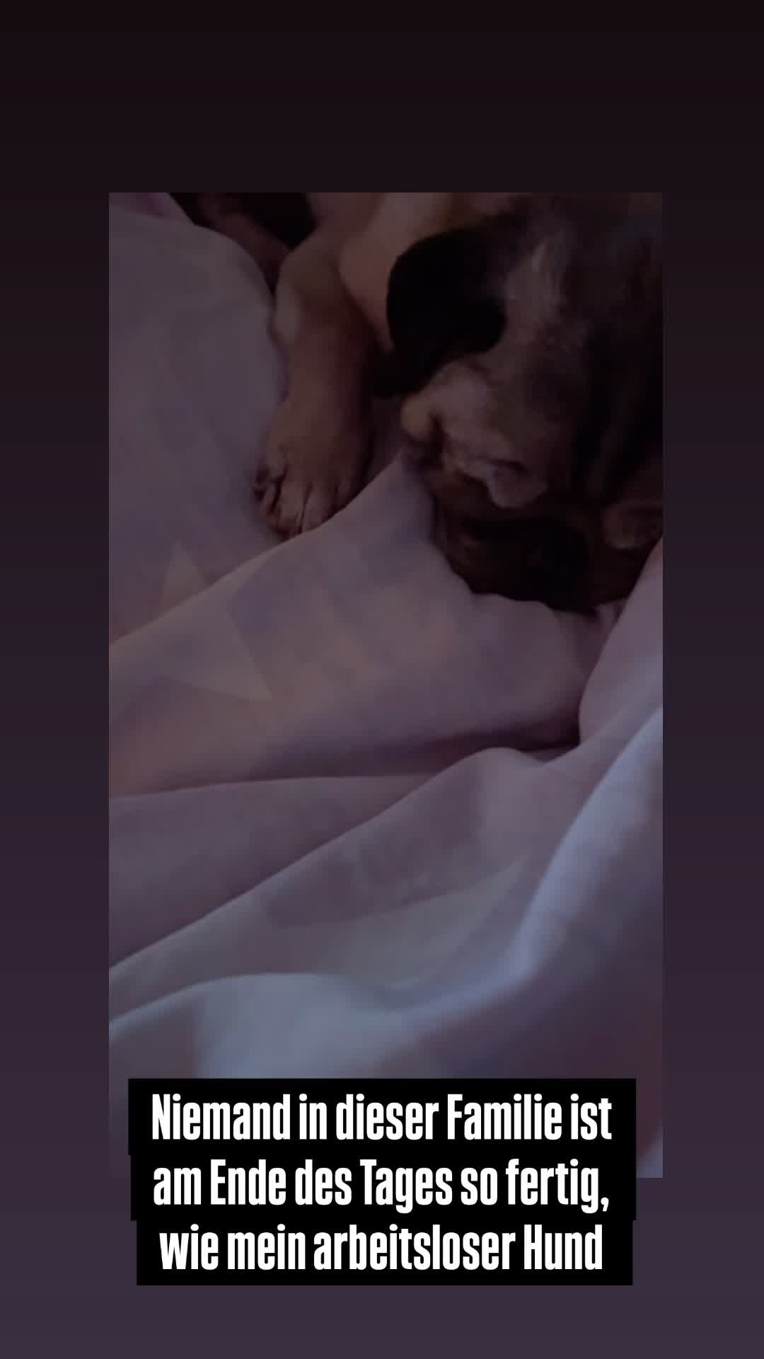 @S🌷