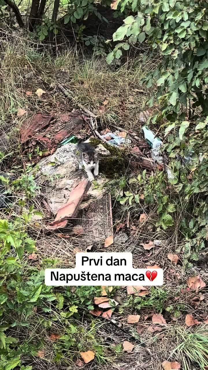 @c.jasko